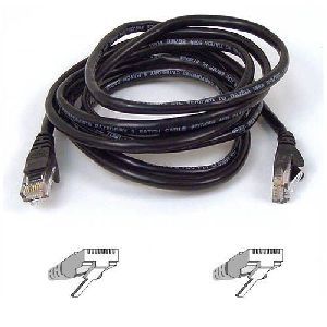 Belkin CAT5e Patch Cable - American Tech Depot