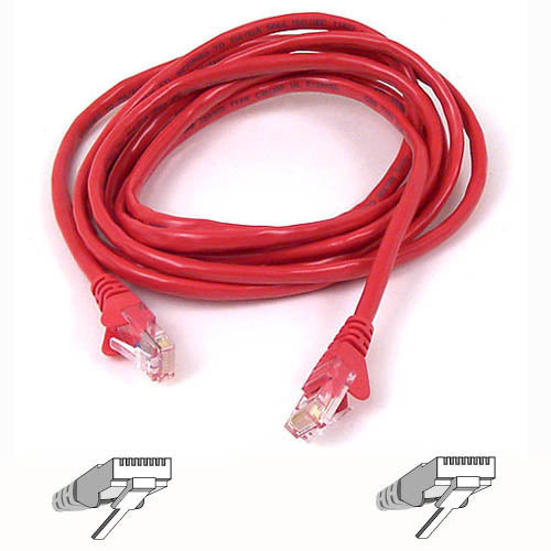 Belkin Patch Cord - American Tech Depot