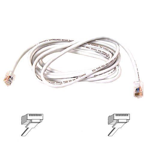 Belkin Cat6 Cable - American Tech Depot