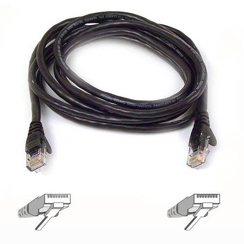 Belkin Cat6 Cable - American Tech Depot