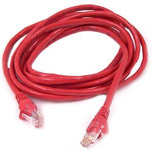 Belkin Cat. 6 Patch Cable - American Tech Depot