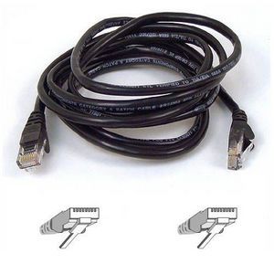 Belkin Cat5e Network Cable - American Tech Depot