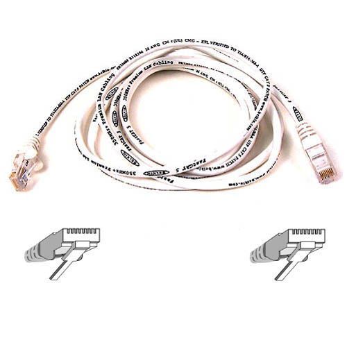 Belkin Cat5e Patch Cable - American Tech Depot