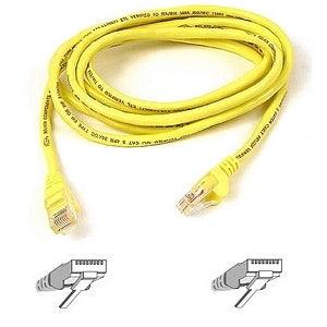 Belkin Cat5e Patch Cable - American Tech Depot