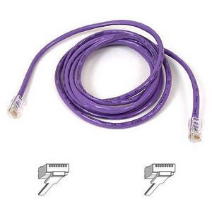 Belkin Cat5e Patch Cable - American Tech Depot