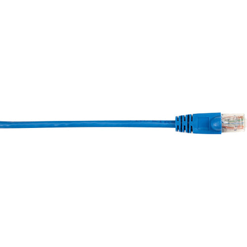 Black Box CAT6 Value Line Patch Cable, Stranded, Blue, 1-ft. (0.3-m), 25-Pack - American Tech Depot