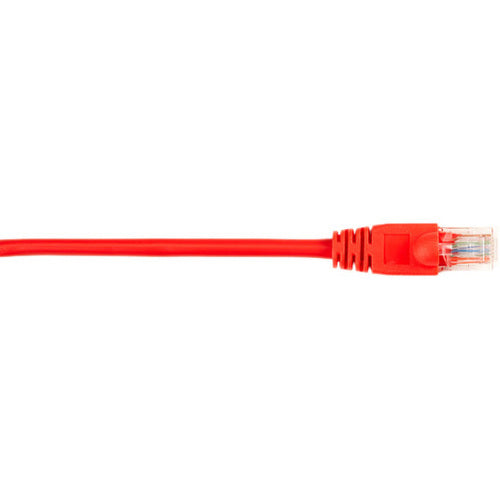 Black Box Other views CAT5e Value Line Patch Cable, Stranded, Red, 5-ft. (1.5-m) - American Tech Depot