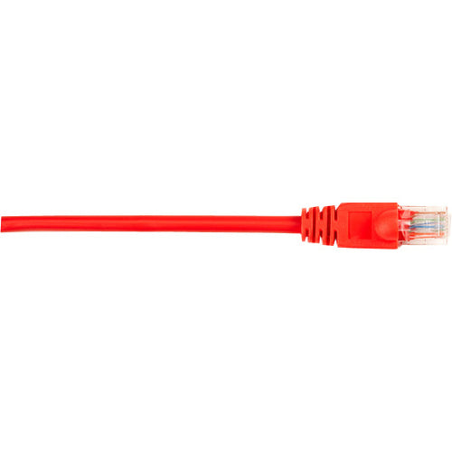 Black Box CAT5e Value Line Patch Cable, Stranded, Red, 10-Ft. (3.0-m) - American Tech Depot