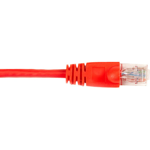 Black Box CAT6 Value Line Patch Cable, Stranded, Red, 1-ft. (0.3-m) - American Tech Depot