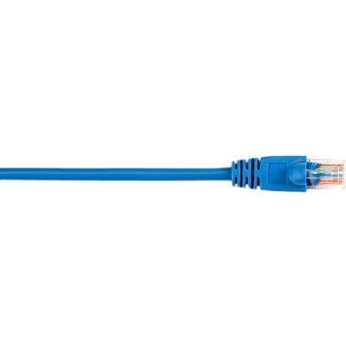 Black Box CAT5e Value Line Patch Cable, Stranded, Blue, 4-ft. (1.2-m) - American Tech Depot