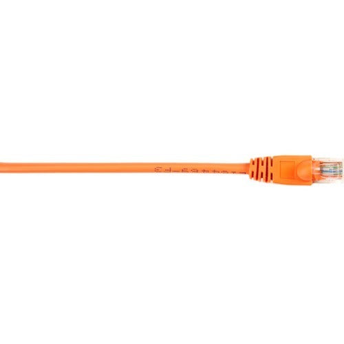 Black Box CAT5e Value Line Patch Cable, Stranded, Orange, 4-ft. (1.2-m) - American Tech Depot