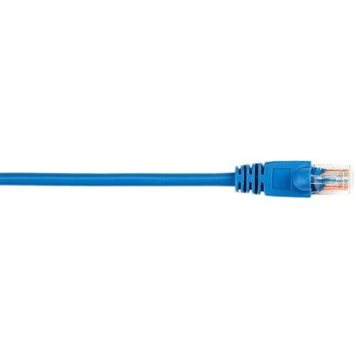 Black Box CAT5e Value Line Patch Cable, Stranded, Blue, 6-ft. (1.8-m) - American Tech Depot