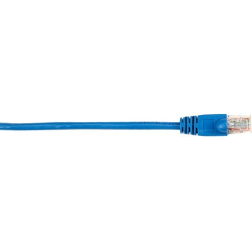 Black Box CAT6 Value Line Patch Cable, Stranded, Blue, 2-ft. (0.6-m) - American Tech Depot