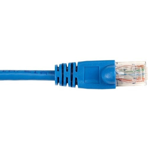 Black Box CAT6 Value Line Patch Cable, Stranded, Blue, 4-ft. (1.2-m) - American Tech Depot