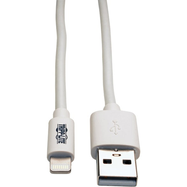 Tripp Lite 10ft Lightning USB-Sync Charge Cable for Apple Iphone - Ipad White 10' - American Tech Depot