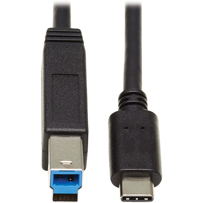 Tripp Lite USB C to USB Type B Cable USB Type C 3.1 Gen 2, 10 Gbps M-M 20in - American Tech Depot
