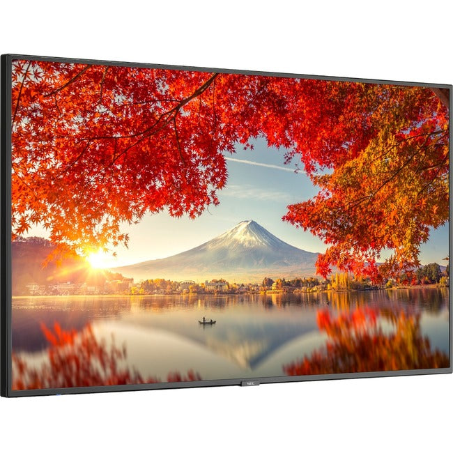 NEC Display 55" Wide Color Gamut Ultra High Definition Professional Display